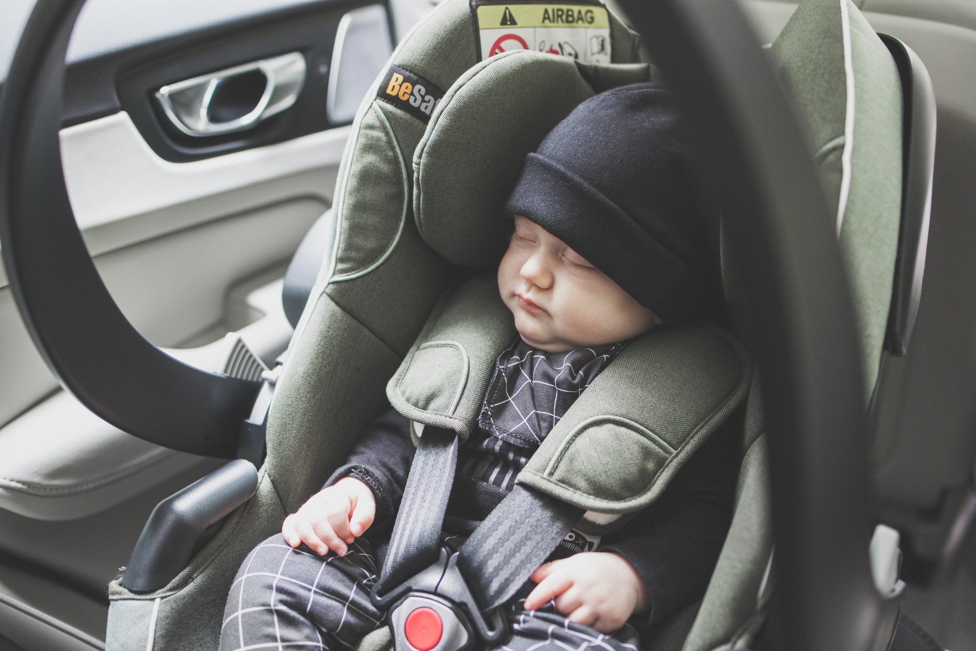 Forest-Mélange_Go-Modular_3