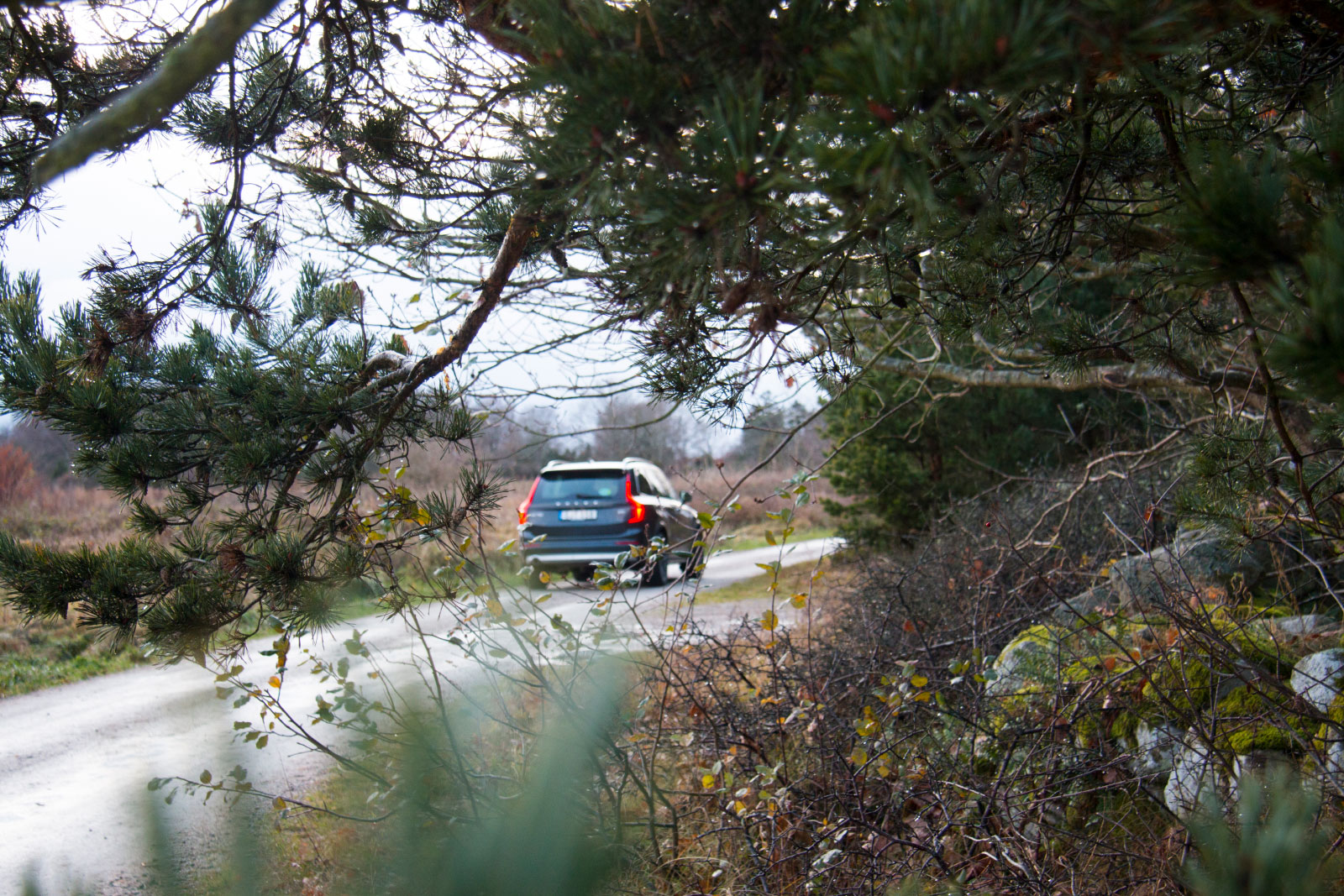 besafe_flex_fix_car_seat_safety02