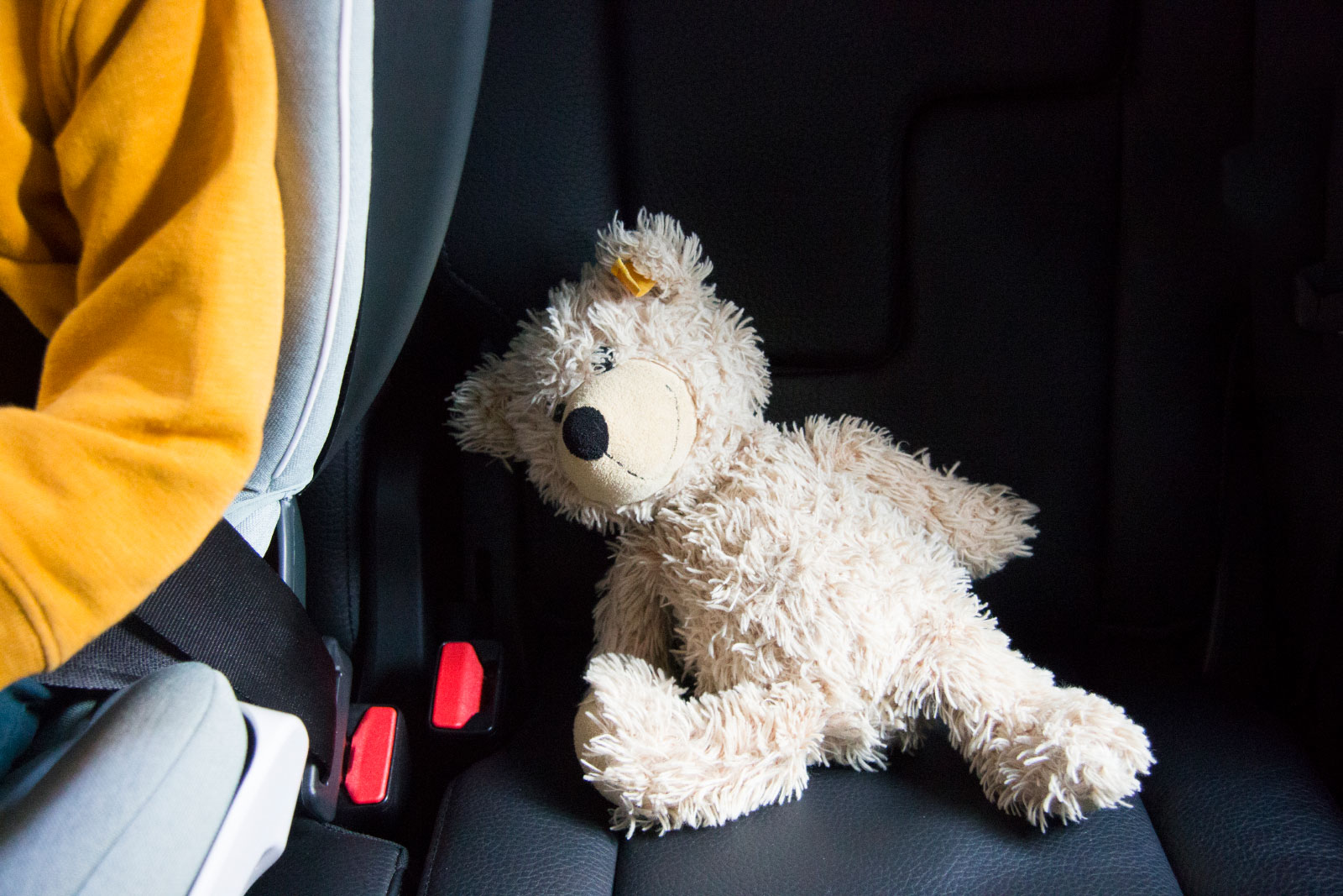 besafe_flex_fix_car_seat_safety03